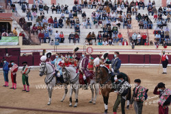 Concurso de Ganadarias em Salvaterra - as imagens