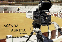 TOIROS NA TELEVISÃO 