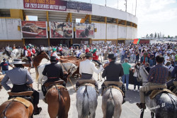 Manifestação pela liberdade cultural,
