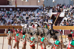 Boa tarde de Toiros na Arruda por acasião das Festas de Santo António.