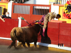 Gloria e Cornada  na ultina da feira de  San Juan 2021