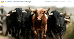Projecto Tauromaquia Património Cultural já tem plataforma digital