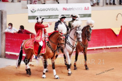 Memorável tarde de toiros em Évora