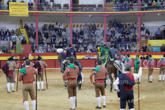 Nazaré 1ª corrida da temporada de verão 2021 na Praça de Toiros do Sítio