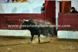 Fotogaleria da Corrida de São Manços  28-Agosto-2021 
