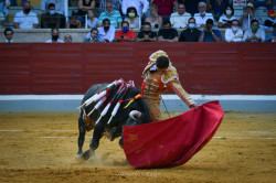 AMANHÃ, PESEIRO COM GRAVES