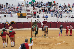 Boa corrida:  Do centenario da Praça de Toiros do Sobral de Monte Agraço