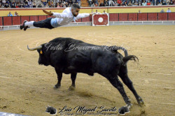 Recortador Fernando Silva conquista 