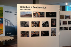Exposição de 