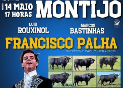 O PESO DOS TOIROS PARA HOJE