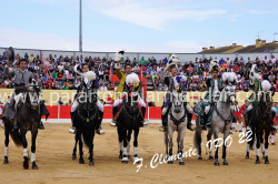 Corrida de Homenagem a Francisco Vassalo
