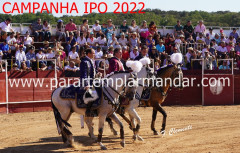 LAVRE :  31 de JULHO  CORRIDA DE EMOÇÃO