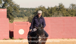 Maestro Paulo Caetano em grande aquecimento.