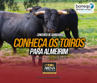 Os toiros para Almeirim no dia 2