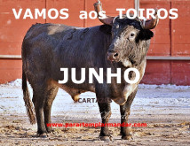 VAMOS aos TOIROS