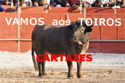 Próximos Cartéis 