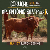Os Toiros da ganadaria Dr. António Silva para hoje em Coruche 