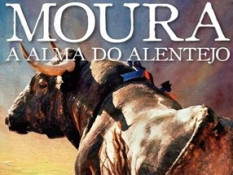 Toiros em Moura em 9 de Setembro.