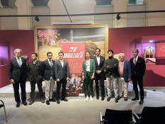 TOIROS EM TELEMADRID