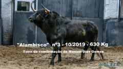 Impressionantes Toiros para a Confirmação de Manuel Dias Gomes. 