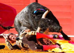 Heroísmo do Matador Manuel Escribano