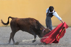 Encontro Mundial de Escolas de Toureio