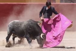 João Mexia da Escola de Toureio da Moita toureou em Aguascalientes