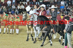 Fabulosa Corrida de Toiros, ontem em Torres Vedras