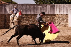 Cuqui prepara o regresso á Moita no Campo
