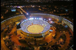 PRAÇA DE TOIROS DANIEL DO NASCIMENTO - TEMPORADA 2025