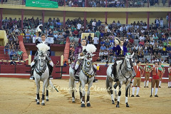 Francisco Palha soma triunfo na Figueira da Foz