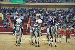 Francisco Palha soma triunfo na Figueira da Foz