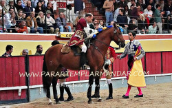 Palha Blanco imagens da última corrida de Toiros da feira de outono.