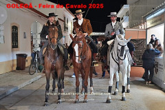O Cavalo e o São Martinho