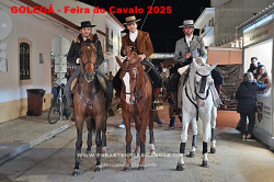 O Cavalo e o São Martinho