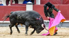 Juan Ortega, triunfador em Valdemorillos.