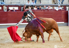 Tomás Bastos, causa grande impressão em Las Ventas.