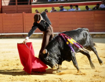 Martim Filipe ontem em Palência