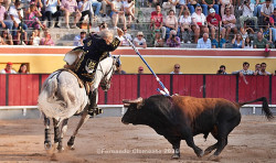 Corrida Mista do Colete Encarnado 2026
