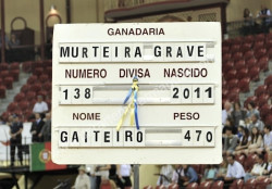 Melhor é quase impossível ...
