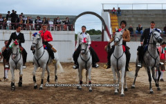 ONTEM NO CRATO UMA NOVILHDA DE LUXO DA GANADARIA PALHA