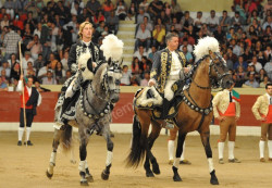 Triunfo de Pedrito de Portugal em Setúbal