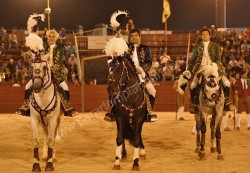 VILA NOVA DE MILFONTES  12-07-2014  