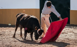Treino de Velásquez e Cláudio Miguel na Herdade das Místicas