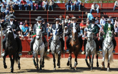 Interessante corrida em Samora Correia 