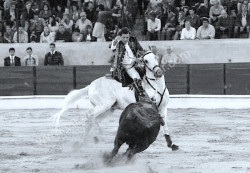 Grande ambiente na ultima corrida na Chamusca