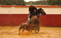 Robleño e Boliver tentaram em Portugal