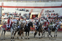 Imagens da corrida de Santarém  12-10-2014
