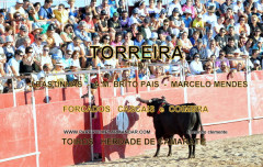 TORREIRA   -   GRANDE TARDE DE TOIROS  
