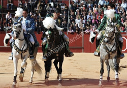 Imagens da corrida de toiros em Benedita 